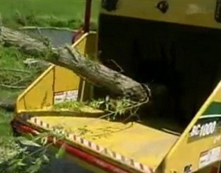 Tree Service mulcher